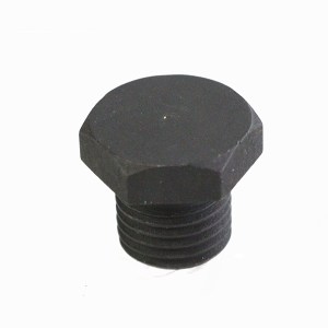Engine Case Drain Plug