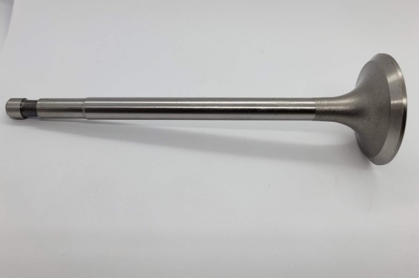 Intake Valve