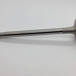 Exhaust Valve