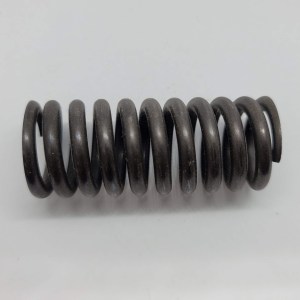 Valve Spring