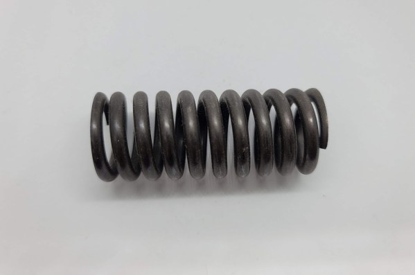 Valve Spring