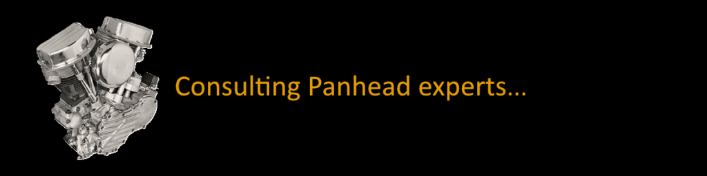 Panhead: Consulting experts…